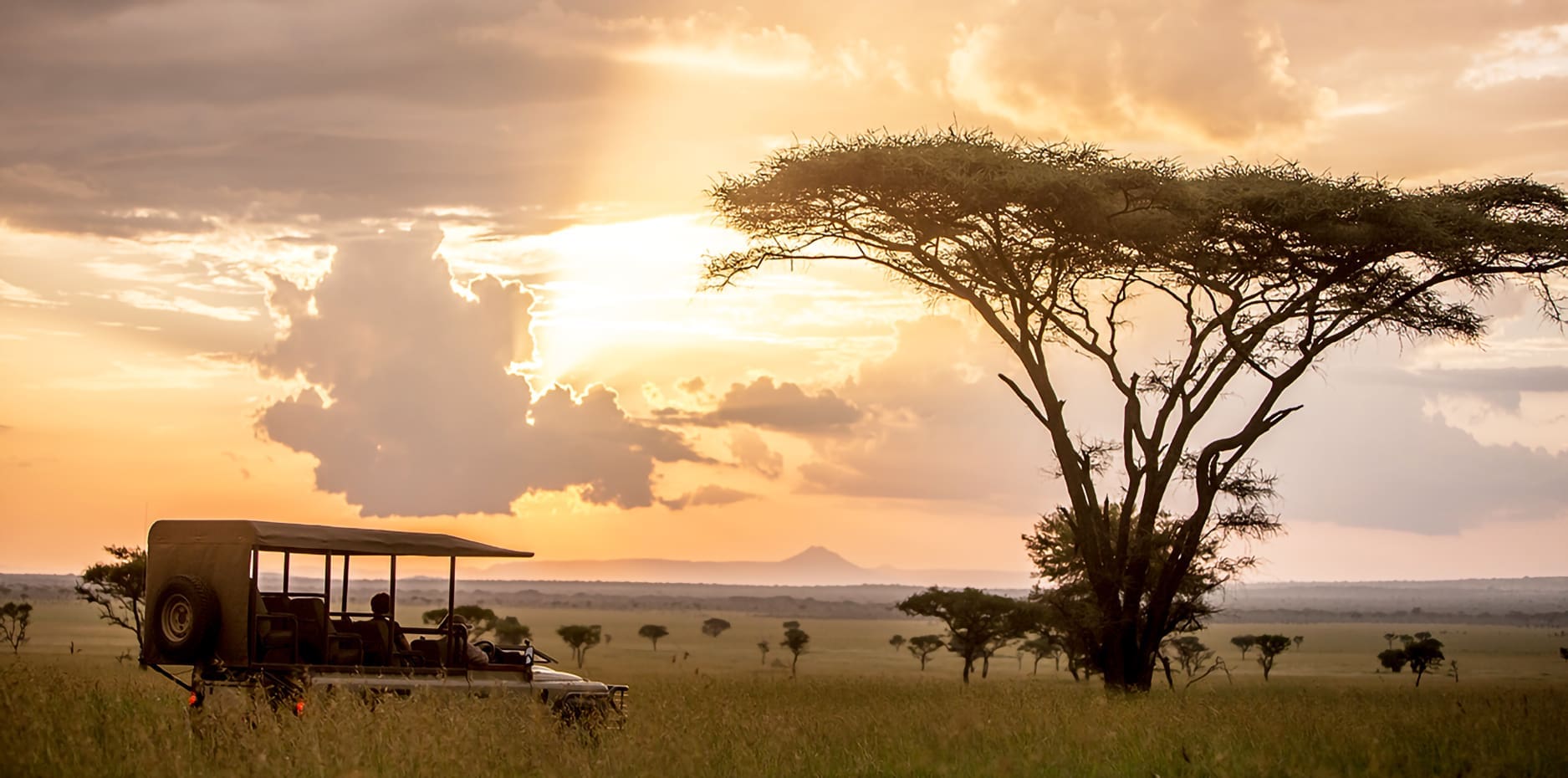 Serengeti Safari